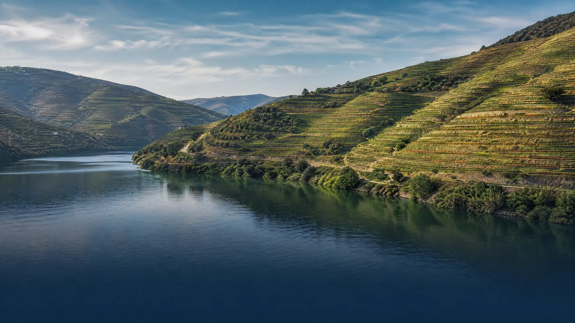 Explore the terraced vineyards of the Alto Douro Wine Region by boat, train, or scenic drive. Compare short river cruises and full-day wine tours from Porto.