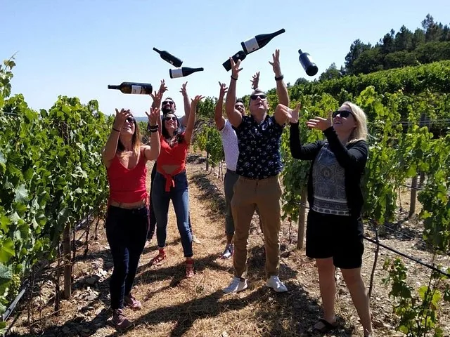 Group of people throwing wine bottles in the air in a vineyard