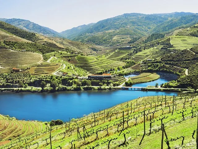 Vineyards and river in the beautiful Douro Valley landscape