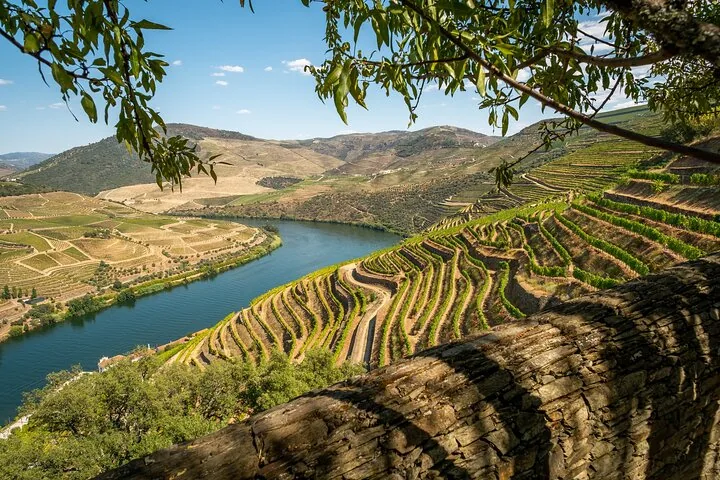 Scenic view of the Douro River with terraced vineyards on hillsides