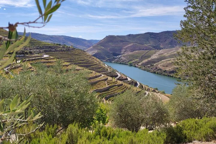 Scenic view of the Douro River winding through terraced hills